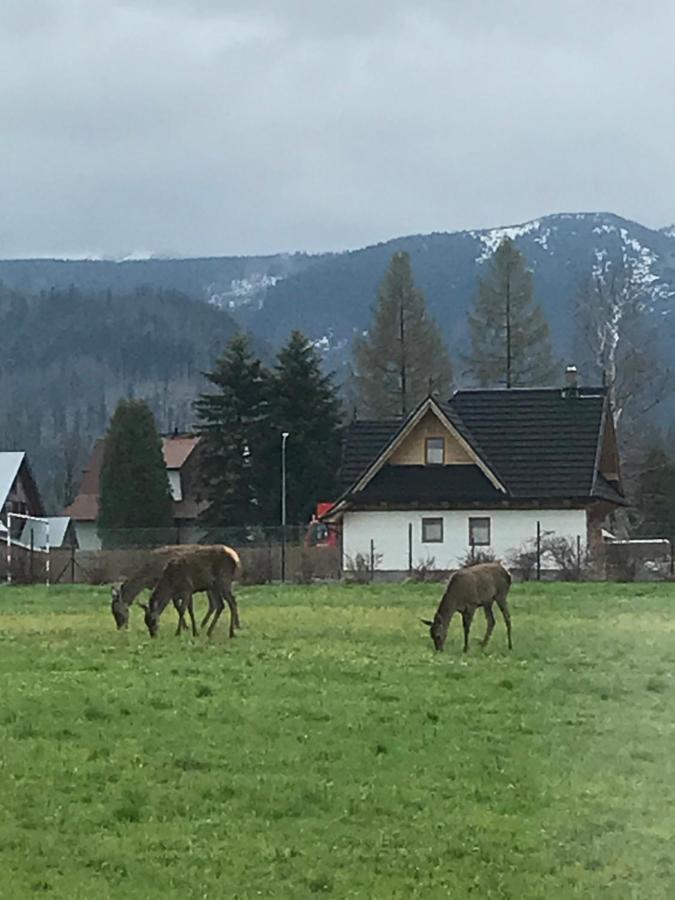 Apartament 2 pokojowy północny 2 łazienki plus aneks kuchenny Zakopane Exterior foto